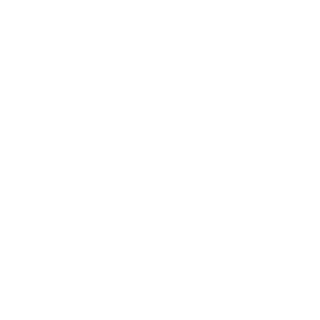Mentality of a CEO